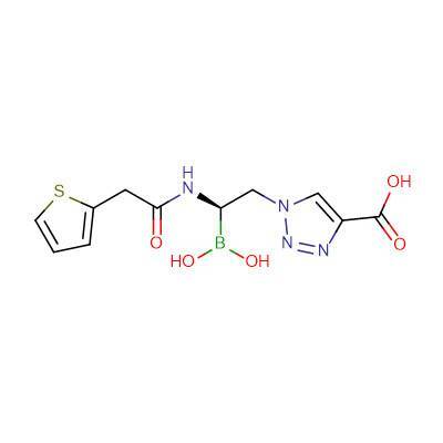 A boronic acid inhibitor